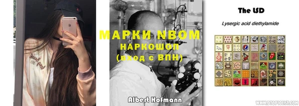 мдпв Алзамай
