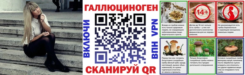 Галлюциногенные грибы Magic Shrooms  наркота  Нефтекумск 