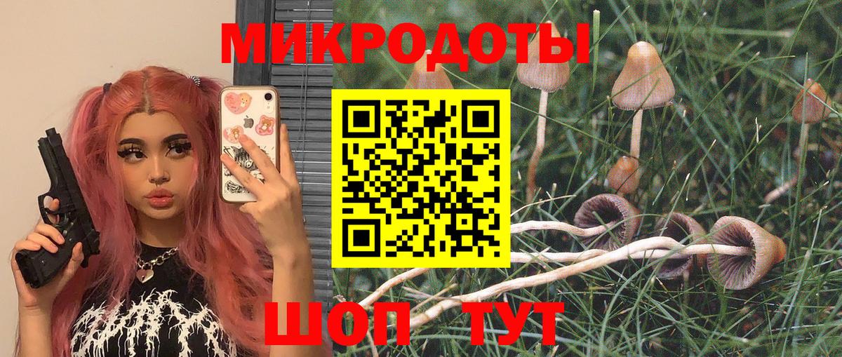 Нефтекумск  Псилоцибиновые грибы Cubensis  Вход с VPN 