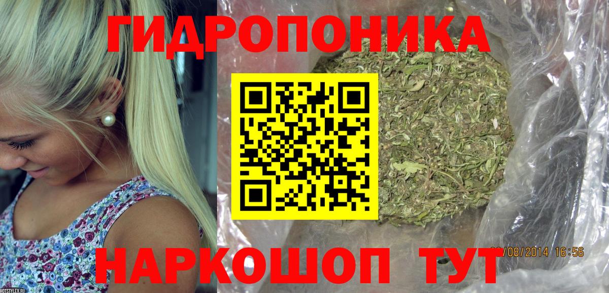Конопля OG Kush Нефтекумск